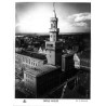 Opole. Ratusz / "OPOLE. RATUSZ"