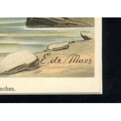 Rybołów / "V. 27 Pandion haliaëtus (L.). Fischadler. Männchen 2/5 natürl. Grösse."