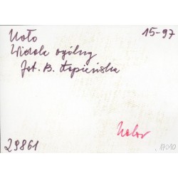 "Koło Widok ogólny fot. B. Łopieńska 15-97 29861 kolor"