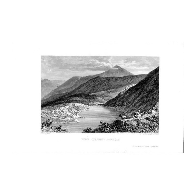 Der Grosse Teich / "DER GROSSE TEICH"