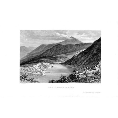 Der Grosse Teich / "DER GROSSE TEICH"