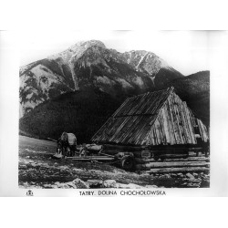 Tatry. Dolina Chochołowska / "TATRY. DOLINA CHOCHOŁOWSKA"