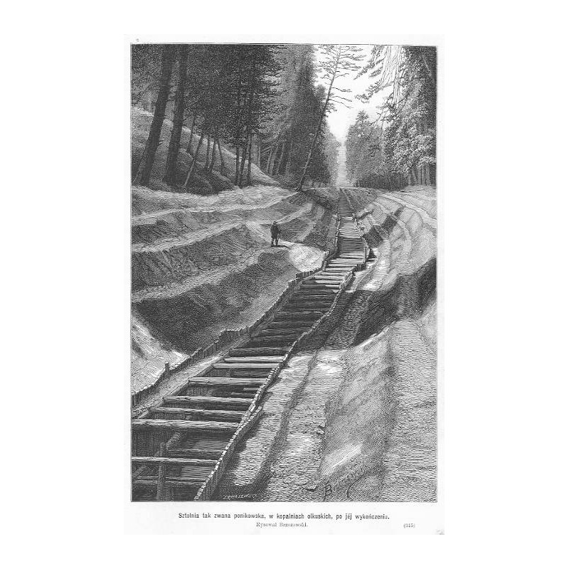 [1] "Wincenty Kosiński. Podług fotografii Kostki i Mulerta. (312)" [2] "Sztolnia tak zwana ponikowska, w kopalniach olkuskich.