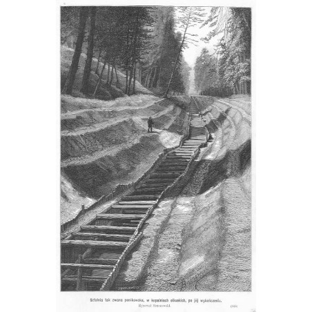 [1] "Wincenty Kosiński. Podług fotografii Kostki i Mulerta. (312)" [2] "Sztolnia tak zwana ponikowska, w kopalniach olkuskich.