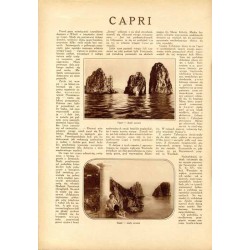 Tęcza. Ilustrowane pismo tygodniowe. R. 2 (1928). Z. 49 (8 grudnia 1928) / Stanisław Turewicz / Katedra poznańska / Capri / Wyst
