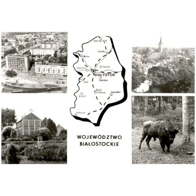 Województwo białostockie [...] Na zdjęciach: Białystok - widok ogólny. Bielsk Podlaski. Sokółka - hotel. Białowieski Park Narodo