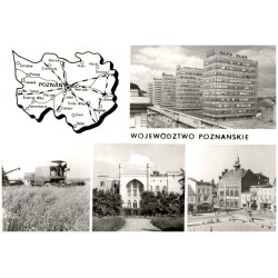 Województwo poznańskie [...] Na zdjęciach: Poznań - Centrum. Żniwa w PGR Ptaszkowo. Kórnik - zamek. Września - plac 1 Maja. fot.