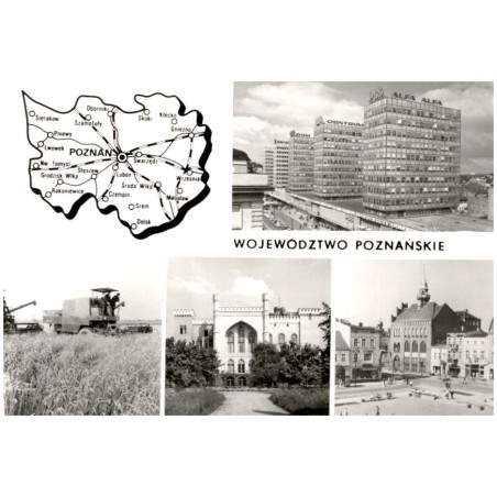 Województwo poznańskie [...] Na zdjęciach: Poznań - Centrum. Żniwa w PGR Ptaszkowo. Kórnik - zamek. Września - plac 1 Maja. fot.