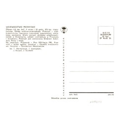 Województwo przemyskie [...] Na zdjęciach: Przeworsk - Plac XXV-lecia PRL. Przemyśl - widok ogólny. Jarosław - Osiedle mieszkani