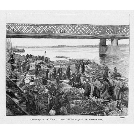 "Galary z jabłkami na Wiśle pod Warszawą. (6688)"