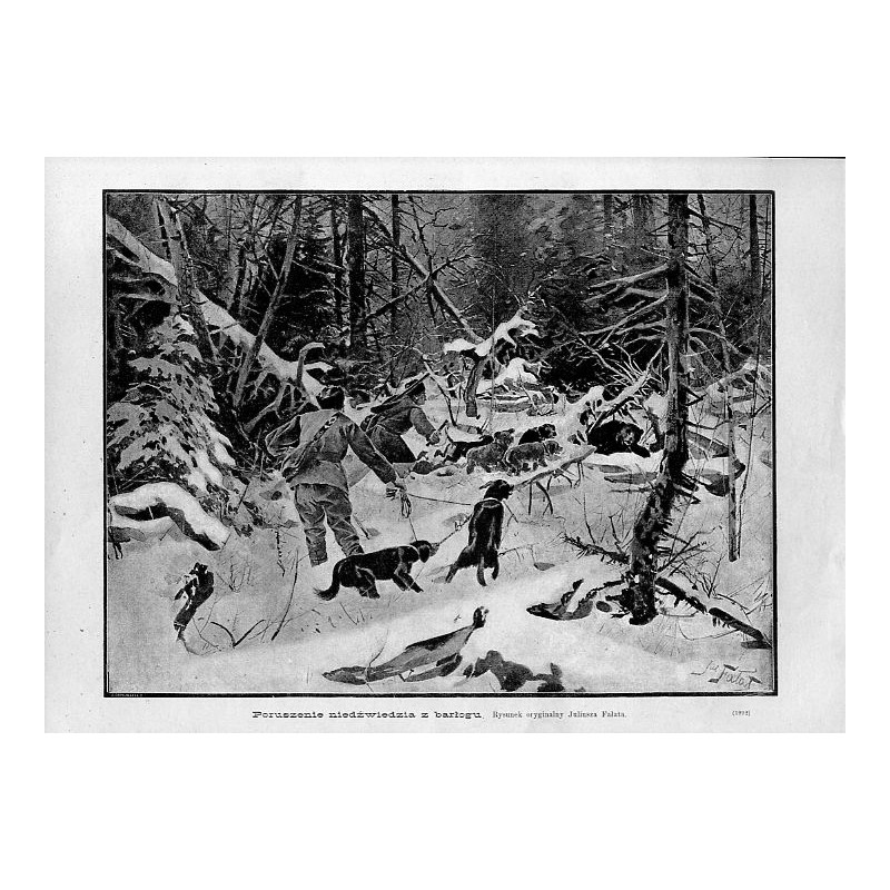 "Poruszenie niedźwiedzia z barłogu. Rysunek oryginalny Juliusza Fałata. (1992)"