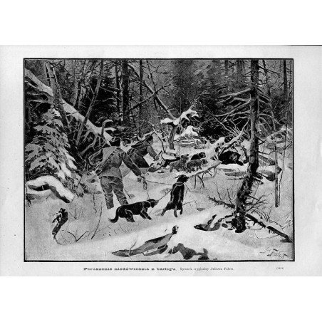 "Poruszenie niedźwiedzia z barłogu. Rysunek oryginalny Juliusza Fałata. (1992)"