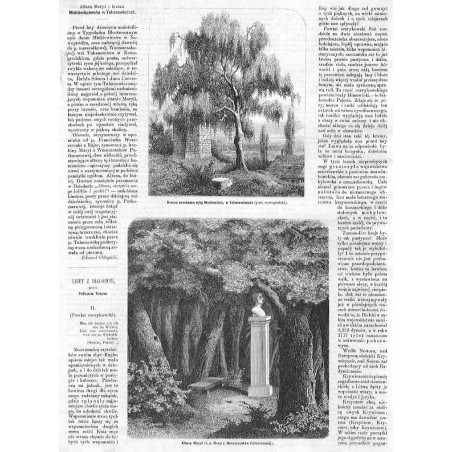 [1] "Brzoza zasadzona ręką Mickiewicza, w Tuhanowiczach (pow. nowogrodzki)." [2] "Altana Maryli (ś. p. Maryi z Wereszczaków Put