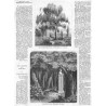 [1] "Brzoza zasadzona ręką Mickiewicza, w Tuhanowiczach (pow. nowogrodzki)." [2] "Altana Maryli (ś. p. Maryi z Wereszczaków Put