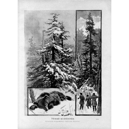 "Polowanie na niedźwiedzia. Rysunek oryginalny Juliusza Fałata. (2379)"