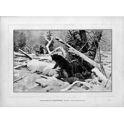 Polowanie na niedźwiedzia. Rysunek z akwareli Juliusza Fałata 2691 / "POLOWANIE NA NIEDŹWIEDŹIA. Rysunek z akwareli Juliusza Fał