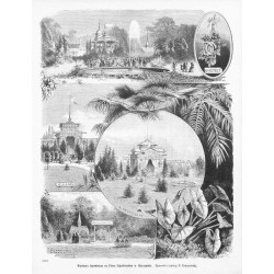 "Wystawa Ogrodnicza na Placu Ujazdowskim w Warszawie. Rysował z natury F. Brzozowski. (6961)"