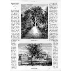 [1] "Część parku w Jastrzębiu. 157" [2] "Dom leczebny w Jastrzębiu. 158"