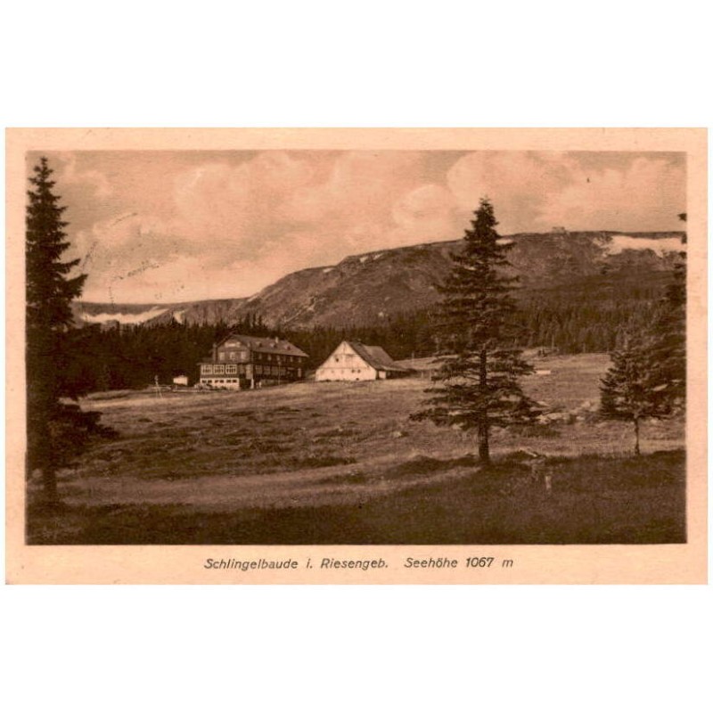 Schlingelbaude i. Riesengeb. Seehöhe 1067 m