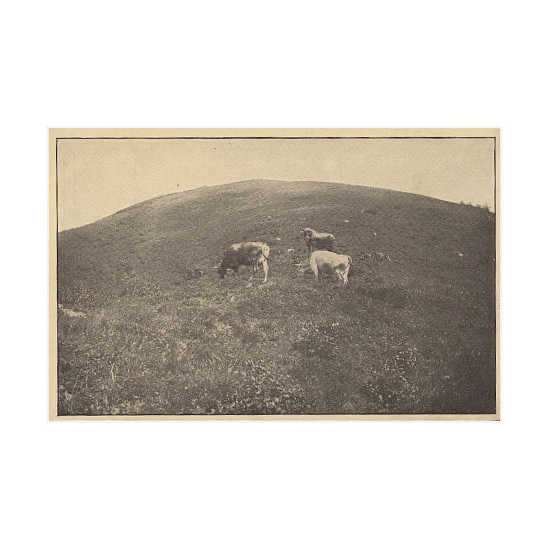 [Jasina] Č.20. Jasina: "Polonina" Menčul. Яcъня: Пoлонина Мeнчyл. [...] / cegiełka