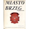 Miasto Brzeg. Przewodnik