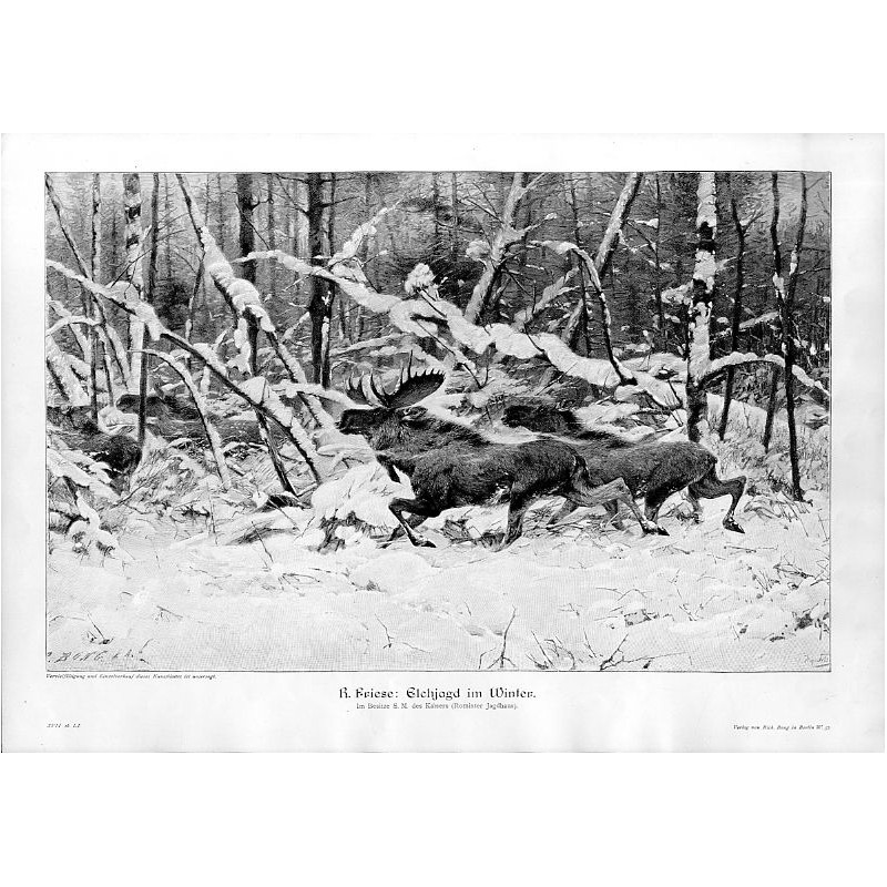 "R. Friese: Elchjagd im Winter. Im Besitze S. M. des Kaisers (Rominter Jagdhaus)."