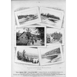 "Zakład leczniczy w Birsztanach [...] (2831)"