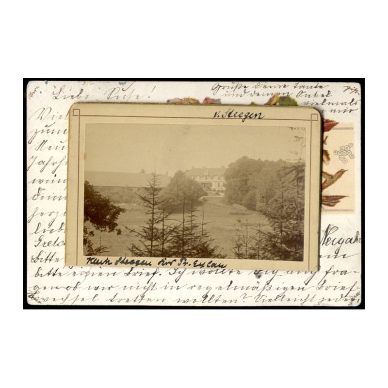 "Klein Steegau [...] Pr. Eylau v. Steegen"