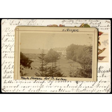 "Klein Steegau [...] Pr. Eylau v. Steegen"