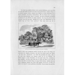 "Aus dem Dorfe Miechocin, zwischen Tarnobrzeg und Baranów an der Weichsel."