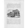 "Aus dem Dorfe Miechocin, zwischen Tarnobrzeg und Baranów an der Weichsel."