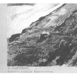 Droga z Bielska do Białowieży / Puszcza Białowieska / "DROGA Z BIELSKA DO BIAŁOWIEŻY."