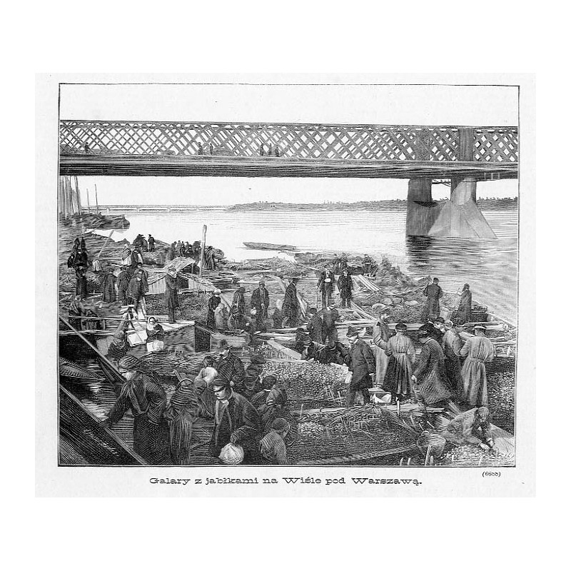 "Galary z jabłkami na Wiśle pod Warszawą. (6688)"