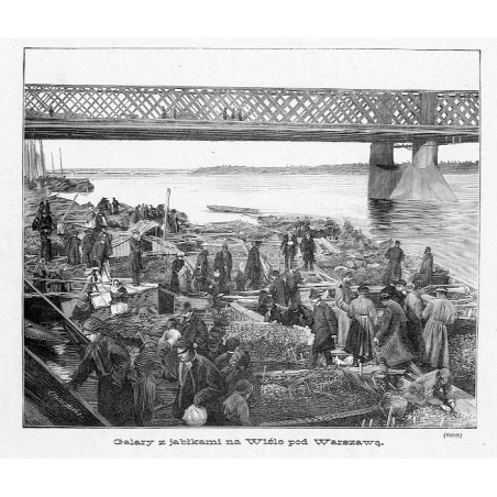 "Galary z jabłkami na Wiśle pod Warszawą. (6688)"