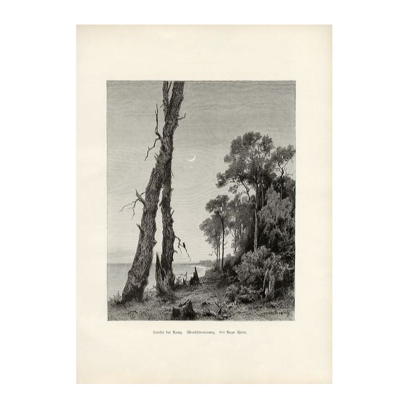 "Seeufer bei Kranz. Abenddämmerung. Von Hugo Knorr."