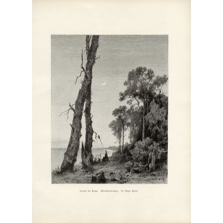 "Seeufer bei Kranz. Abenddämmerung. Von Hugo Knorr."
