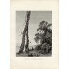 "Seeufer bei Kranz. Abenddämmerung. Von Hugo Knorr."