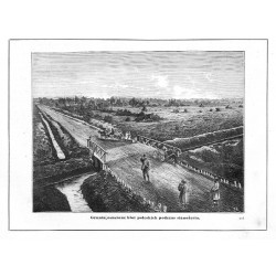 "Grunta osuszone błot poleskich podczas sianożęcia. 245"