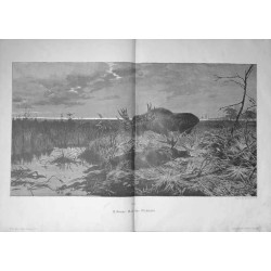 "XXXV. R. Friese: Auf der Wahlstatt." / łosie