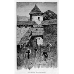 "Ossoje. Opis i rysunki Ludwika Stasiaka."