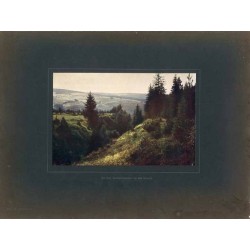 "Aus dem Naturschutzgebiet bei Bad Reinerz Tafel 40. Schlesien II."