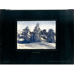 "Sausteine am Reifträger Tafel 17. Schlesien II." / Szrenica