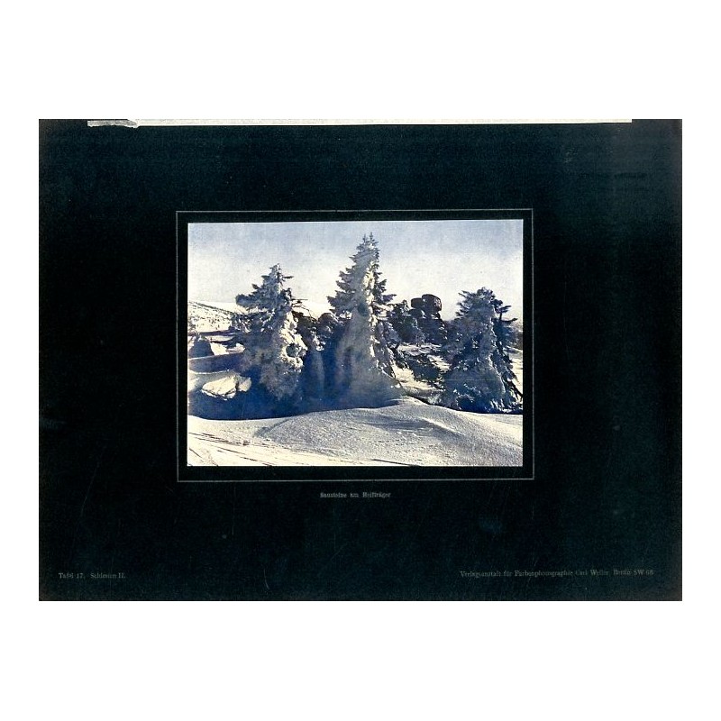 "Sausteine am Reifträger Tafel 17. Schlesien II." / Szrenica