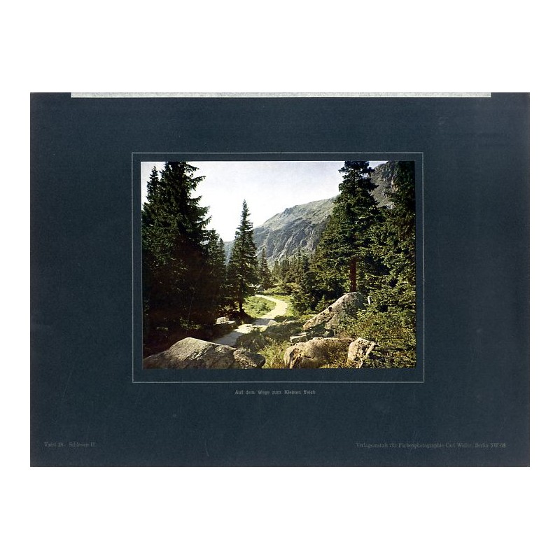 "Auf dem Wege zum Kleinen Teich Tafel 18. Schlesien II."