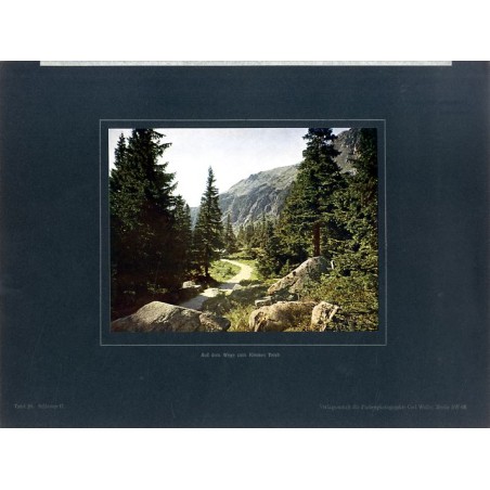 "Auf dem Wege zum Kleinen Teich Tafel 18. Schlesien II."