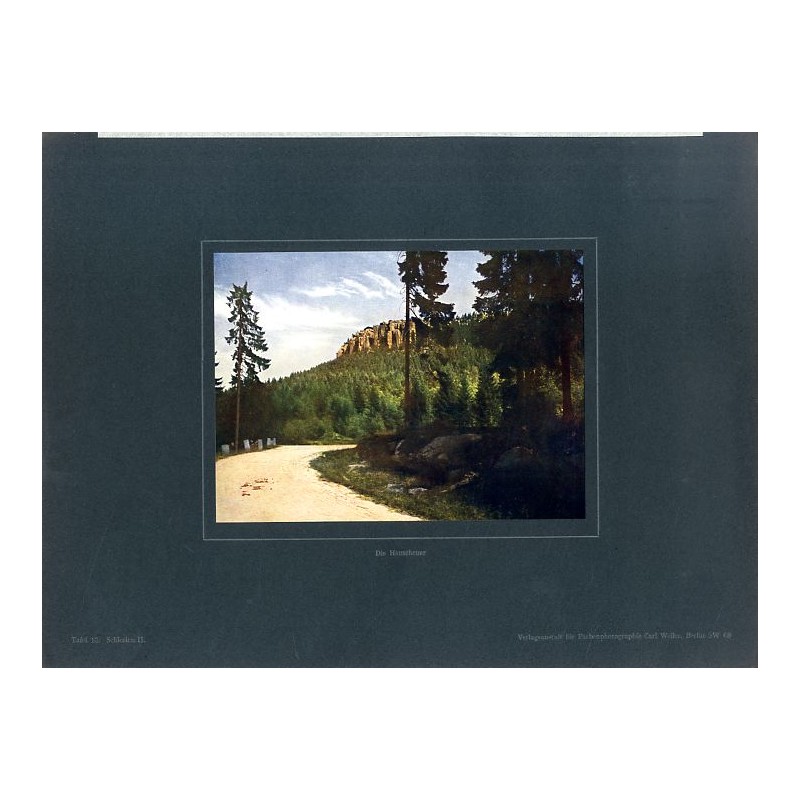 "Die Heuscheuer Tafel 13. Schlesien II."