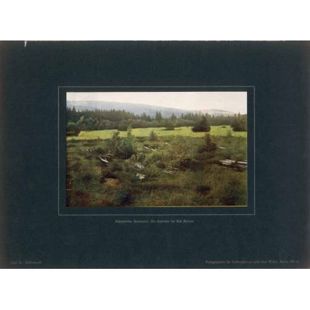 "Schlesisches Hochmoor: Die Seefelder bei Bad Reinerz Tafel 11. Schlesien II."