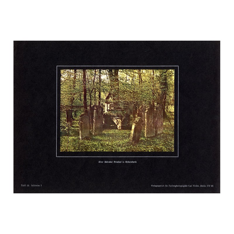"Alter jüdischer Friedhof in Dyhernfurth Tafel 13. Schlesien."