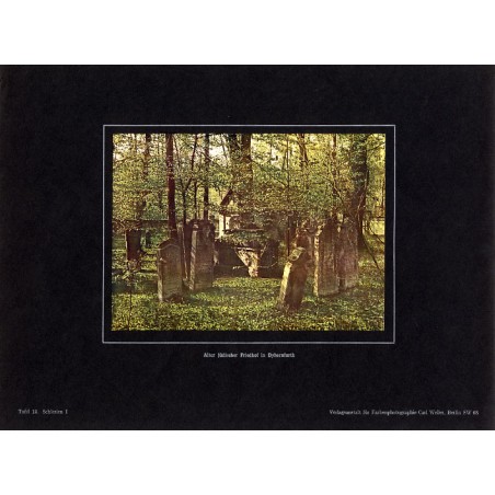 "Alter jüdischer Friedhof in Dyhernfurth Tafel 13. Schlesien."