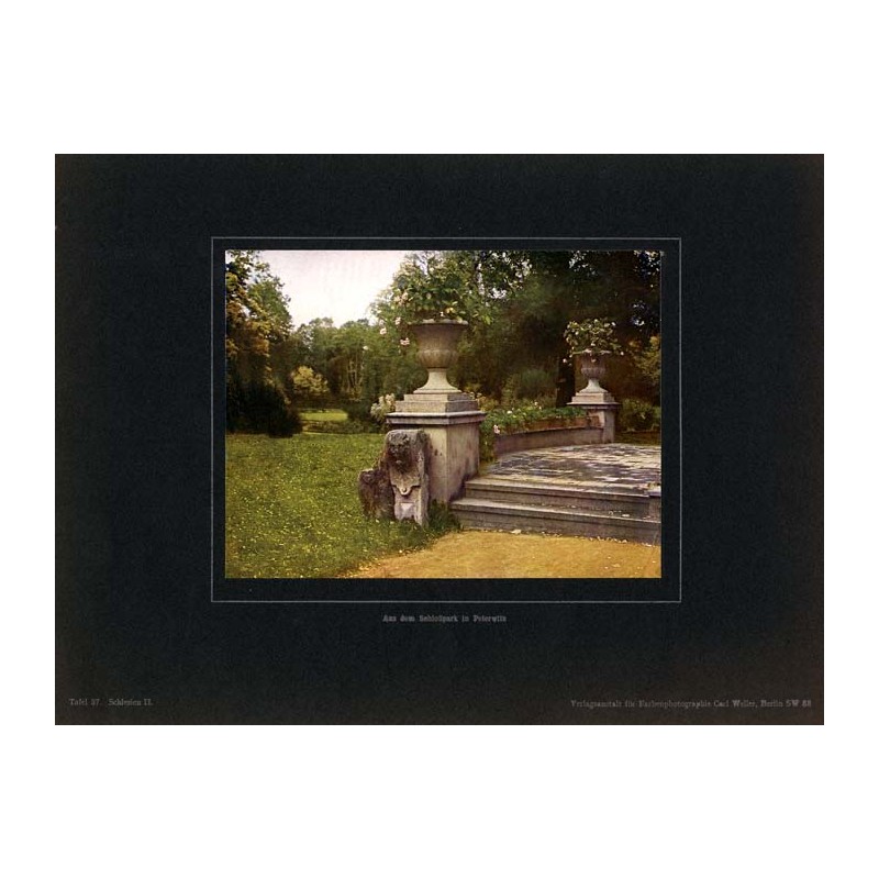 "Aus dem Schlosspark in Peterwitz Tafel 37. Schlesien II."